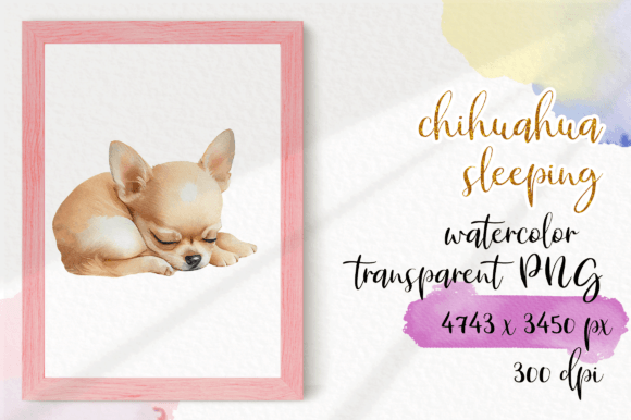 Chihuahua Sleeping Watercolour: A Practical Guide for Designers and Pet Enthusiasts