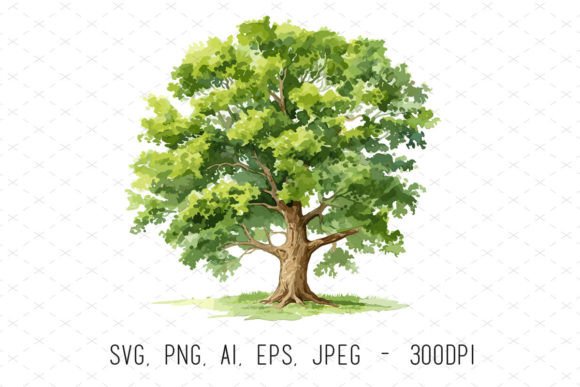 Evaluating the Practical Value of Watercolor Oak Tree Sublimation Clipart for Creative Projects