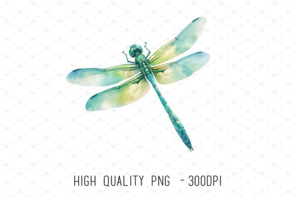 Flying Watercolor Dragonfly Clipart PNG Guide
