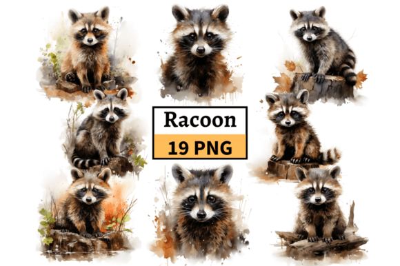 Unleashing Creativity with the Watercolor Raccoon Clipart PNG Bundle