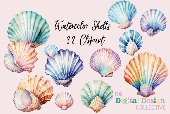 Watercolor Colorful Sea Shells Clipart