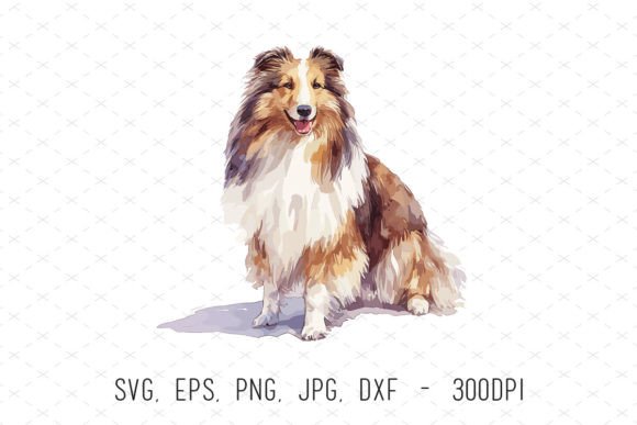 Watercolor Shetland Sheepdog Clipart Guide