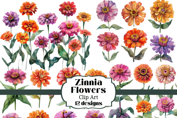 Watercolor Zinnia Flower Clip Art for Creators